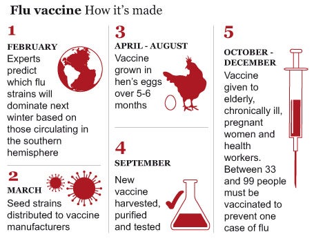 Read This Truth About Vaccines >> Scientists Urge Ministers Tell Truth On Over Hyped Flu Vaccine Read This Truth About Vaccines >> Scientists Urge Ministers Tell Truth On Over Hyped Flu Vaccine