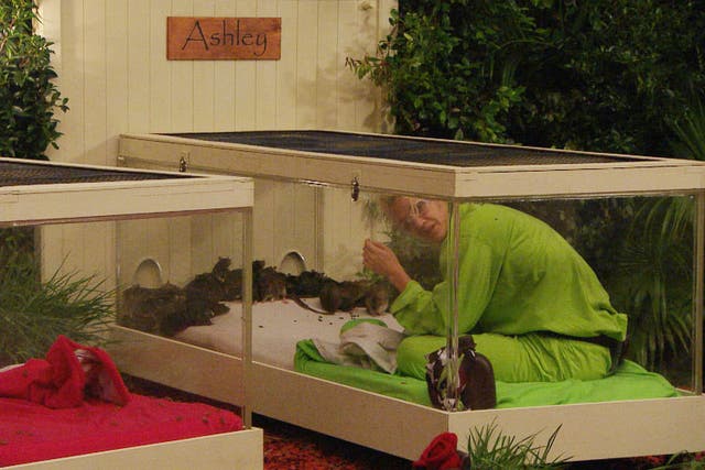 Ashley Roberts snuggles up with some little friends in I'm A Celebrity...Get Me Out of Here!