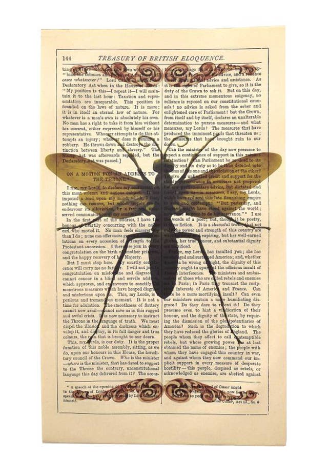 <p>1. Antique paper insect print</p>

<p>From £8, Roo Abrook. No insects were harmed in the making of these prints. 0845 259 1359, <a target="_blank" href="http://notonthehighstreet.com">notonthehighstreet.com</a></p>