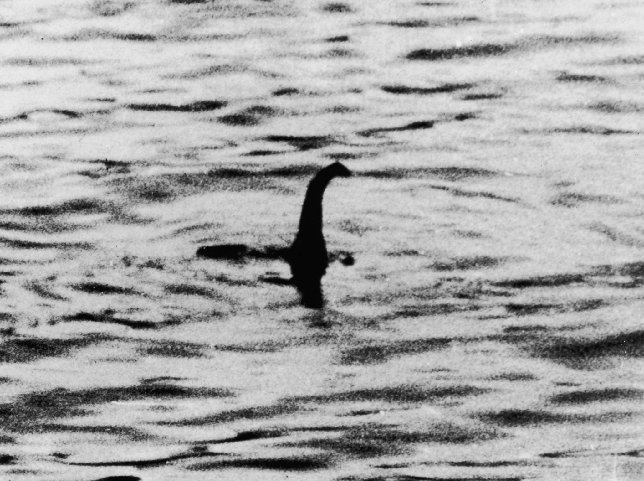 Loch Ness Monster The Big (absent) Daddy of all mythical beasts, the tourism industry is grateful for what has been identified variously as a giant newt, eel, otter, squid, ghost and elephant. GIve it up!