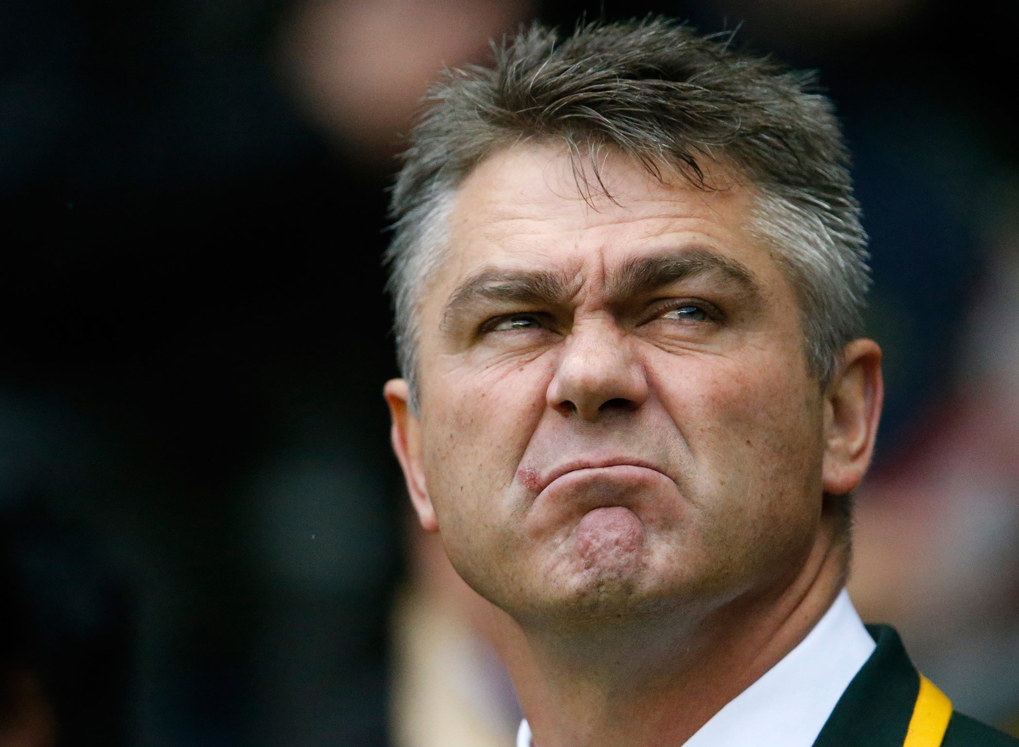Face time: The South Africa coach Heyneke Meyer looks unimpressed