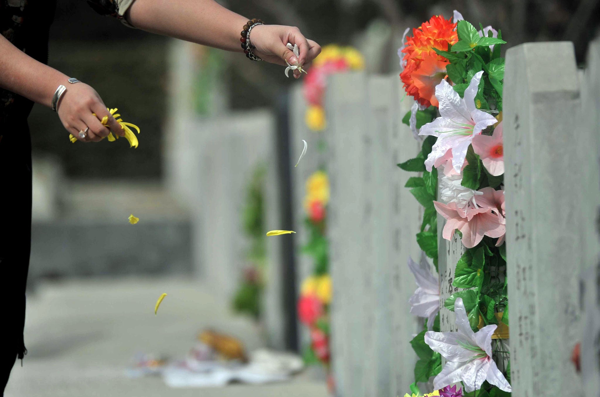 This photo taken on March 26, 2011 shows a Chinese woman placing flowers at the grave of a loved one at the Babaoshan cemetery in Beijing to mark the annual Qing Ming (Ching Ming) Festival, or grave-sweeping day.