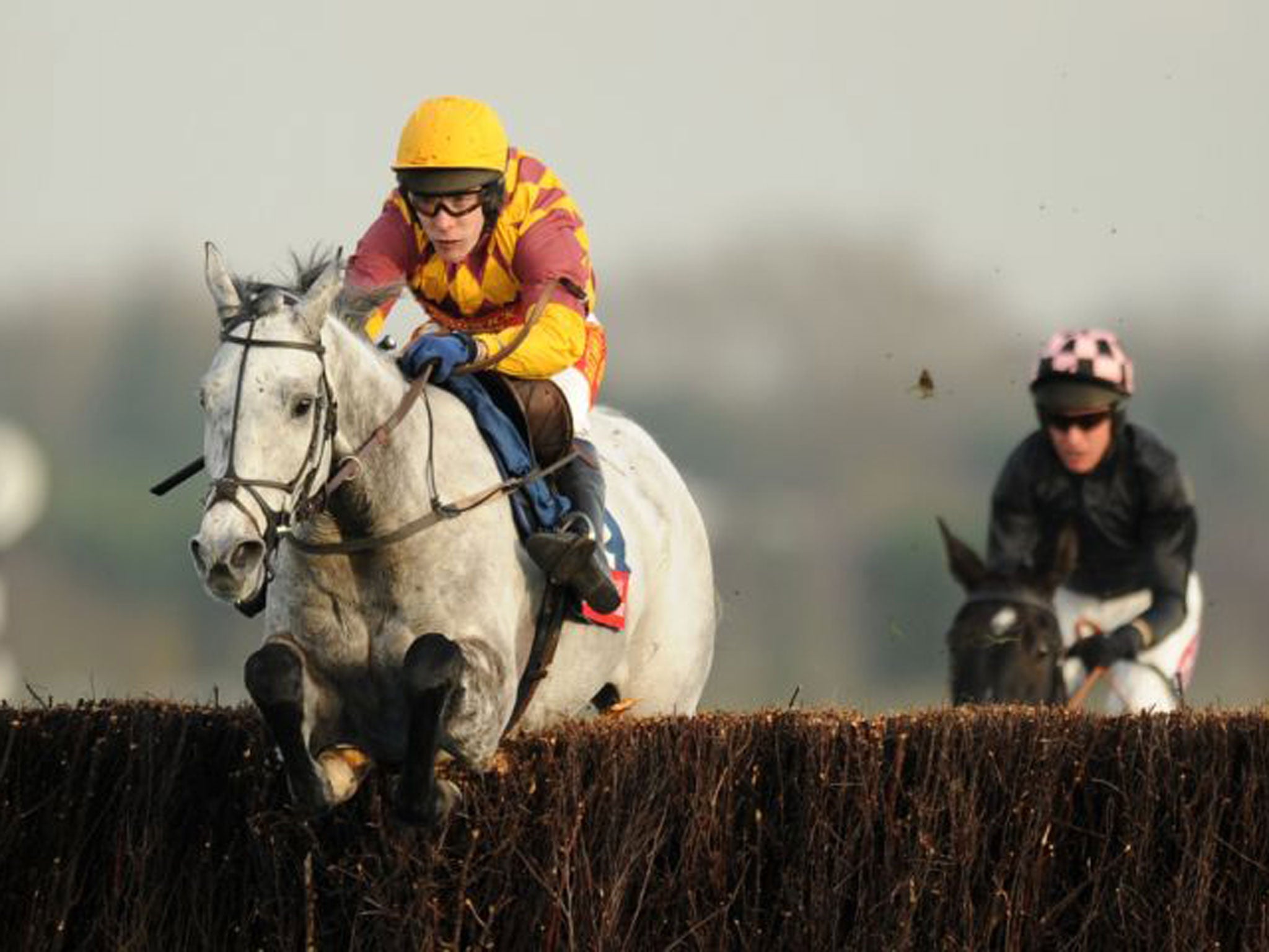 David Pipe’s novice chaser Dynaste gains an impressive win at Newbury yesterday