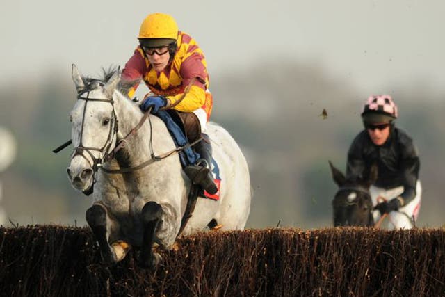 David Pipe’s novice chaser Dynaste gains an impressive win at Newbury yesterday