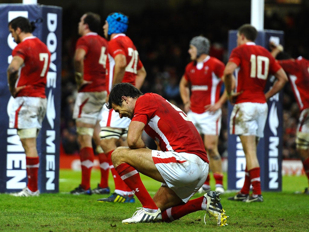 Mike Phillips shows the anguish of Wales’ narrow defeat by Australia
