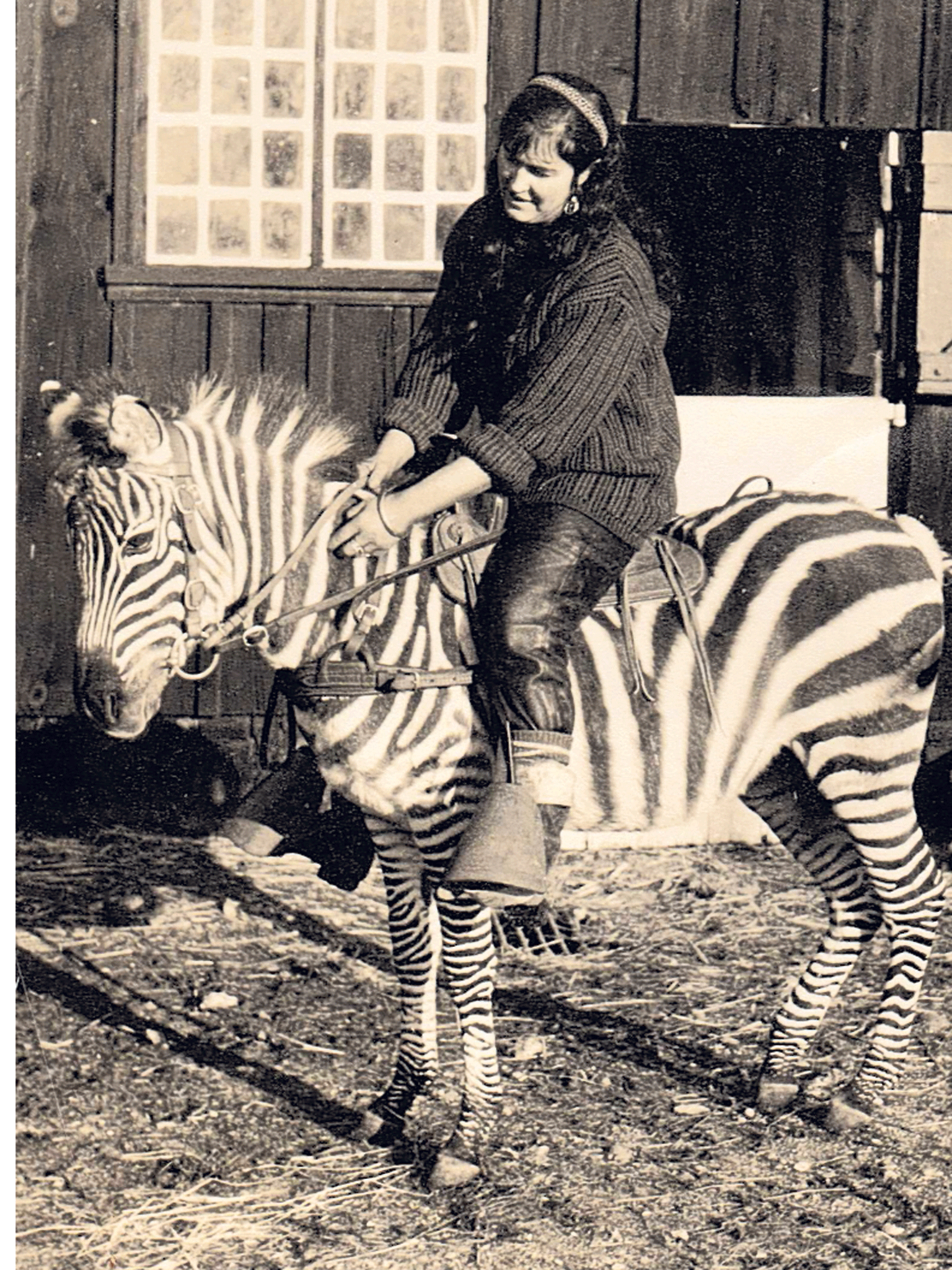 Casey astride Stripely, the zebra she attempted to mate with a horse