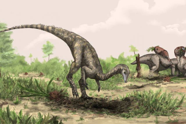 An artist’s impression of Nyasasaurus, which lived in the Triassic period in what is now Tanzania
