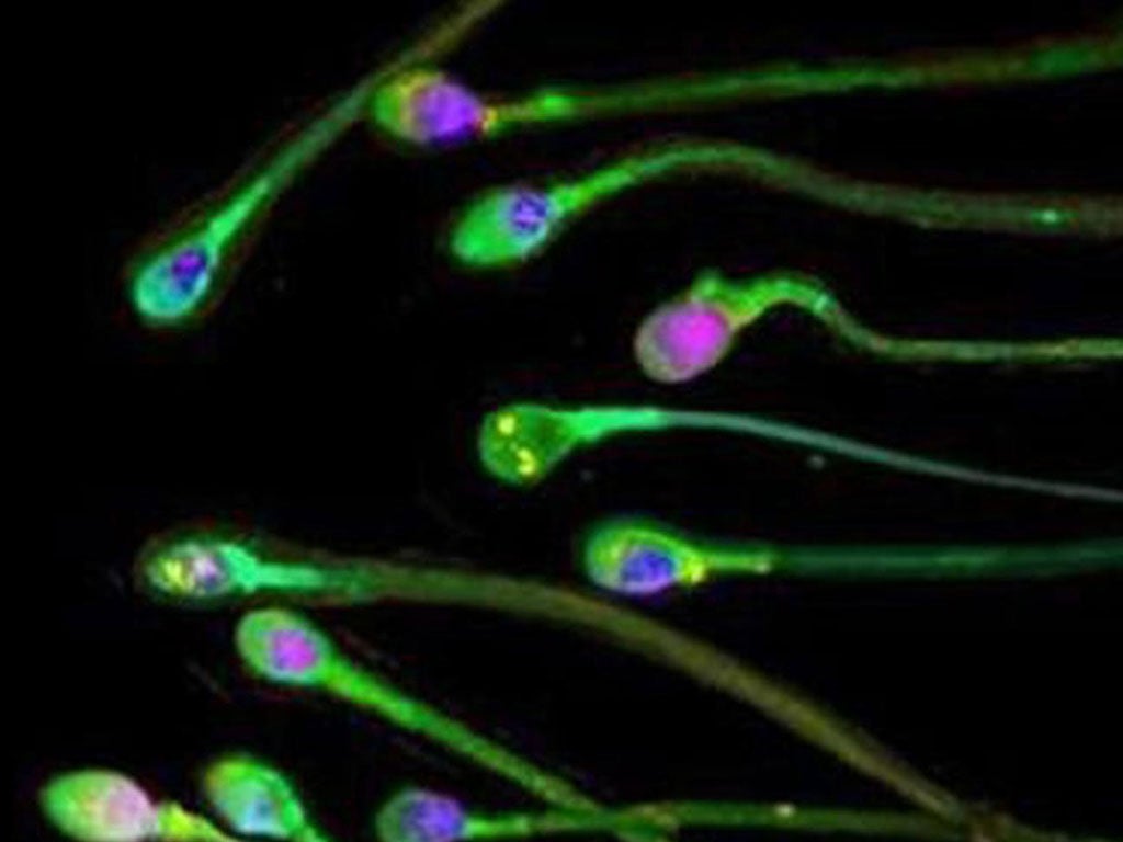 The latest results showing a continuing decline in sperm counts are serious enough to constitute a 'serious public health warning'