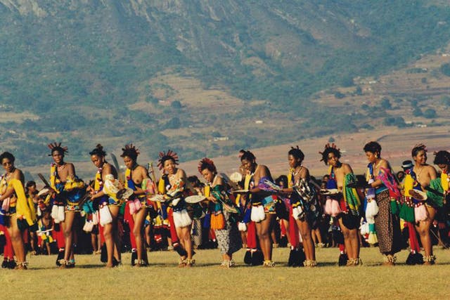 Great gathering: the Umhlanga reed dance