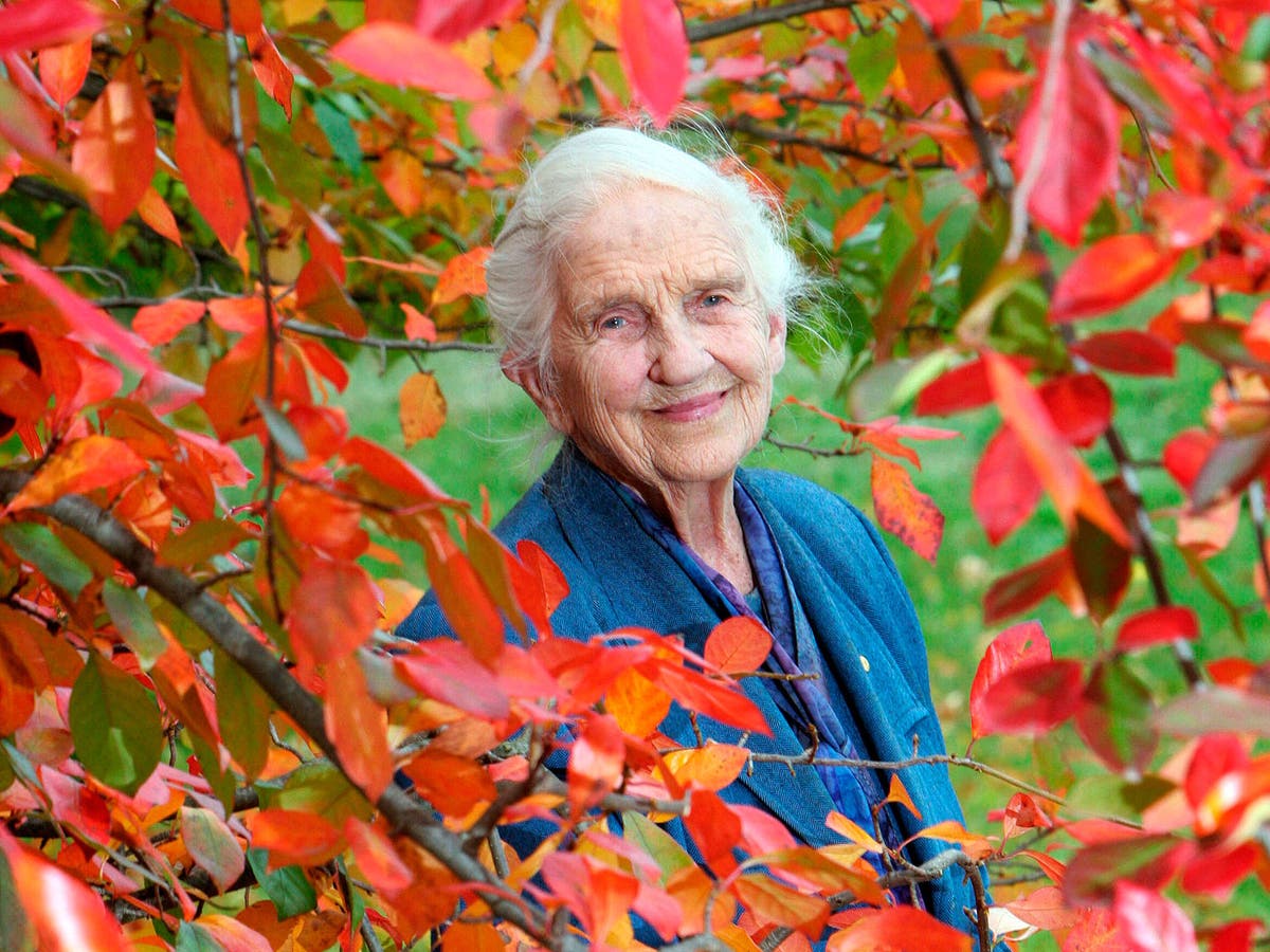 Dame Elisabeth Murdoch: Philanthropist and key figure in the rise of