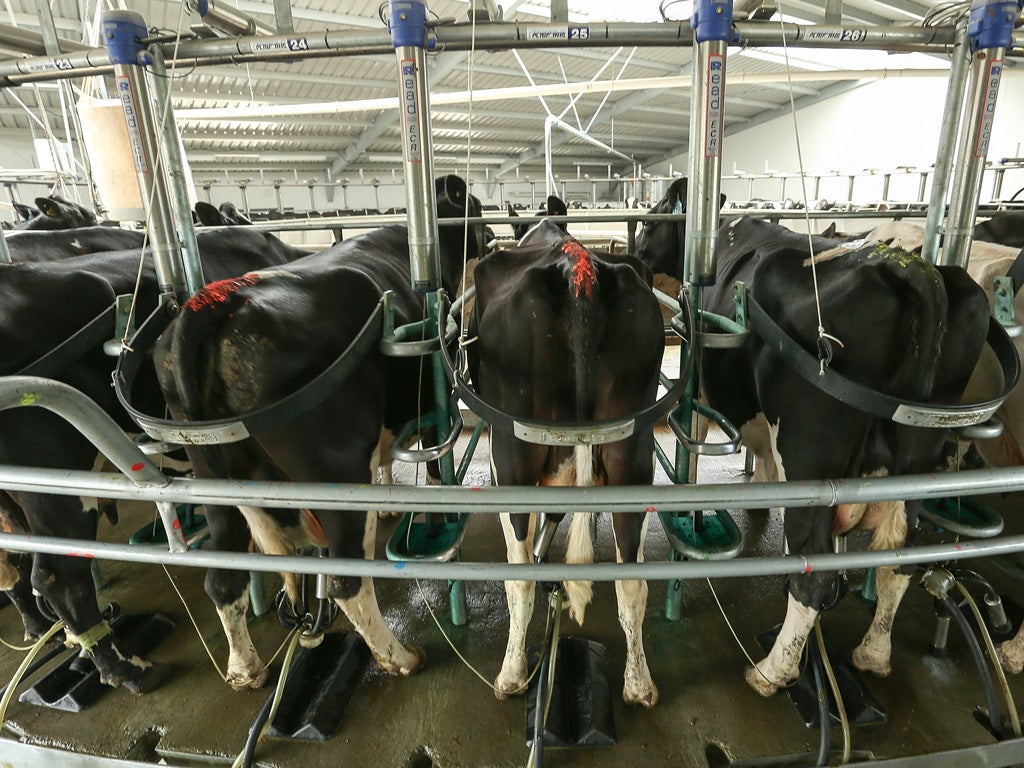 It’s never made a big splash on the Stock Exchange but tubing for dairies could milk the market