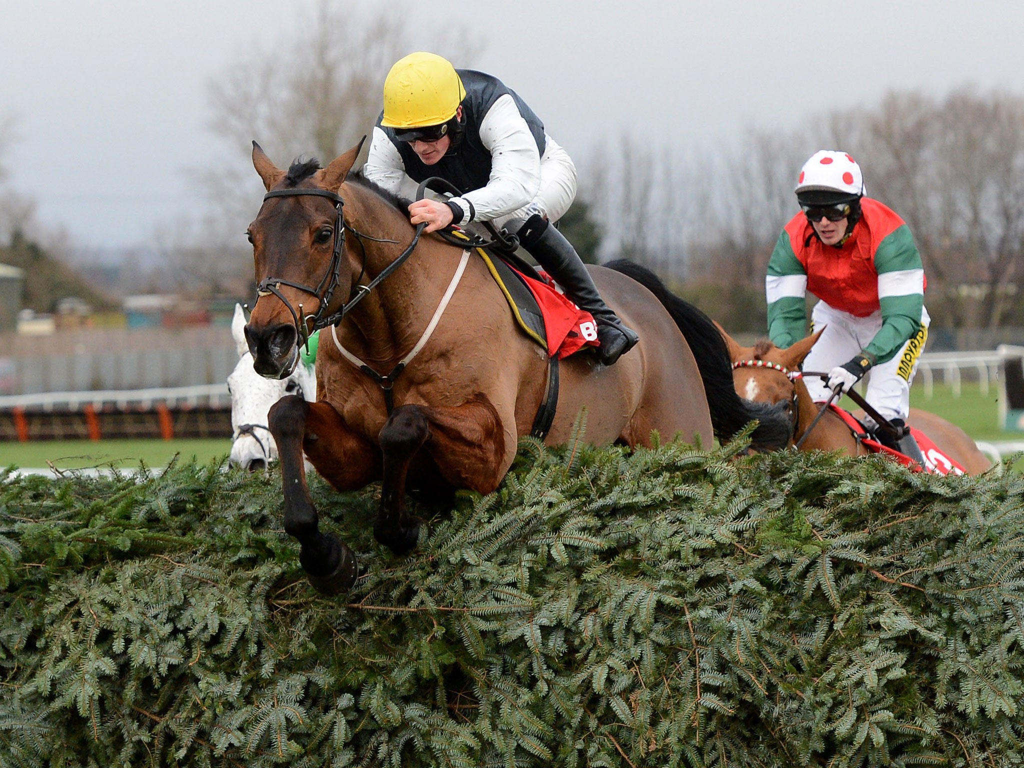 Jumping for joy: Sam Twiston-Davies steers Hello Bud over the final fence en route to victory in the Becher Chase