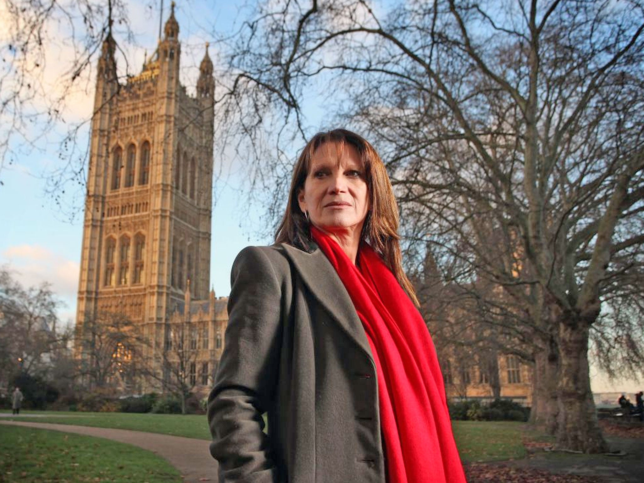 Lynne Featherstone, Liberal Democrat MP for Hornsey and Wood Green and Parliamentary Under-Secretary of State for International Development