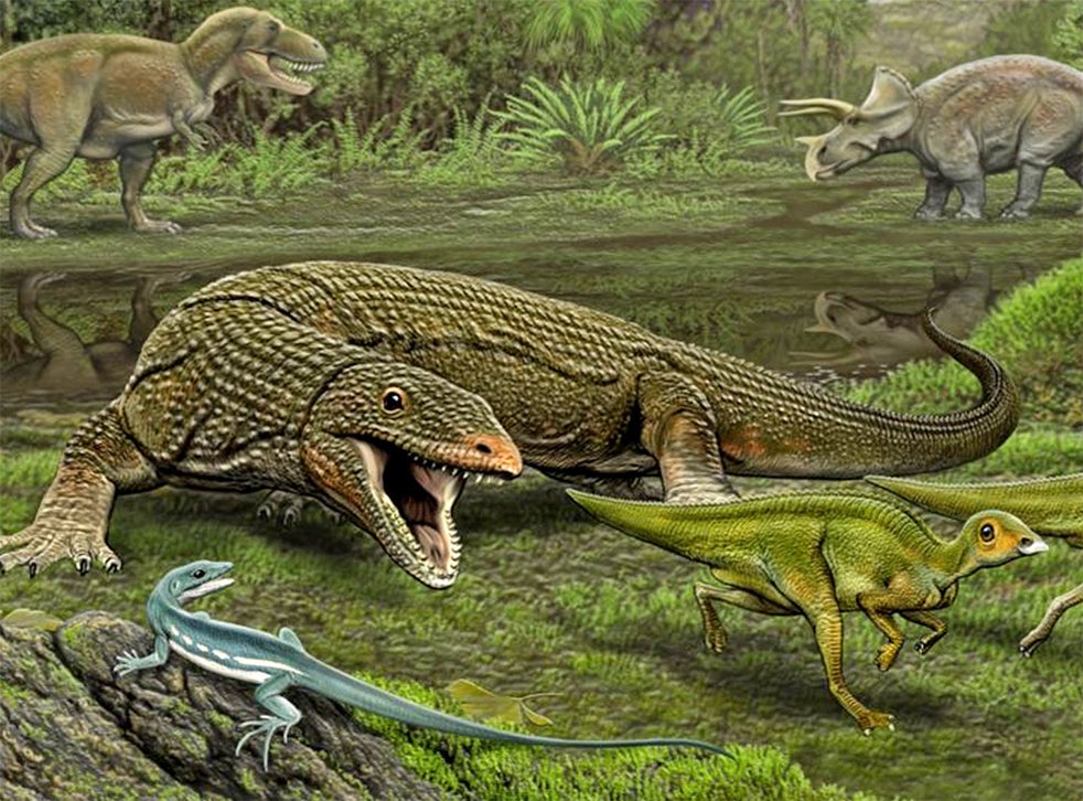 Предки современных рептилий