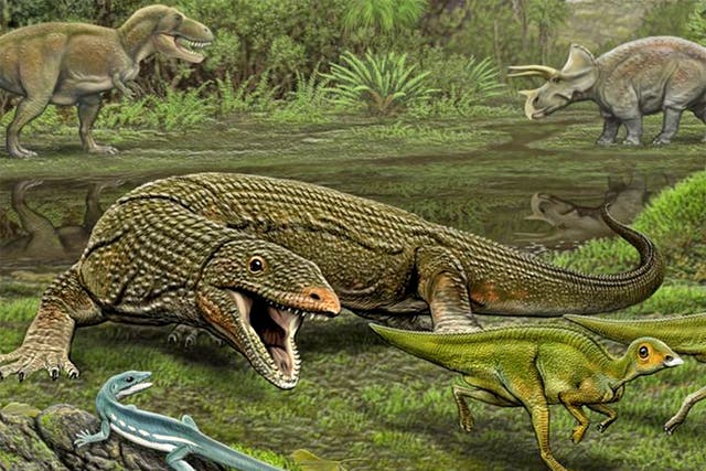 The lizard Obamadon looks on as the carnivorous lizard Palaeosaniwa stalks its Edmontosaurus prey