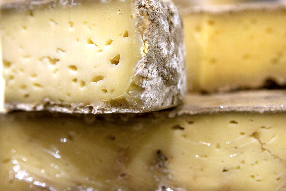 Stone Age people were making cheese over 7,000 years ago | The ...