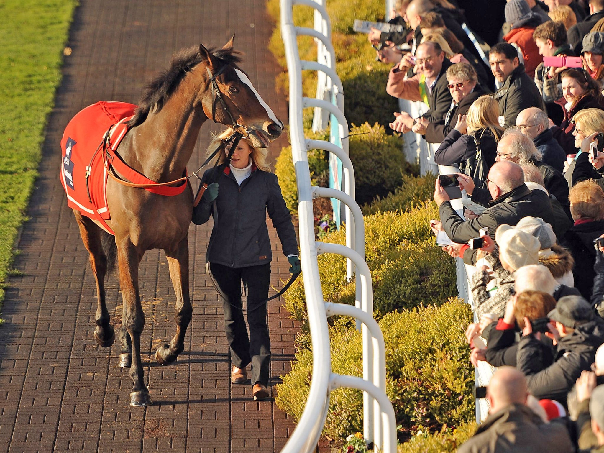 Kauto Star parades at Sandown last Saturday. The atmosphere at Kempton on Boxing Day may be strained