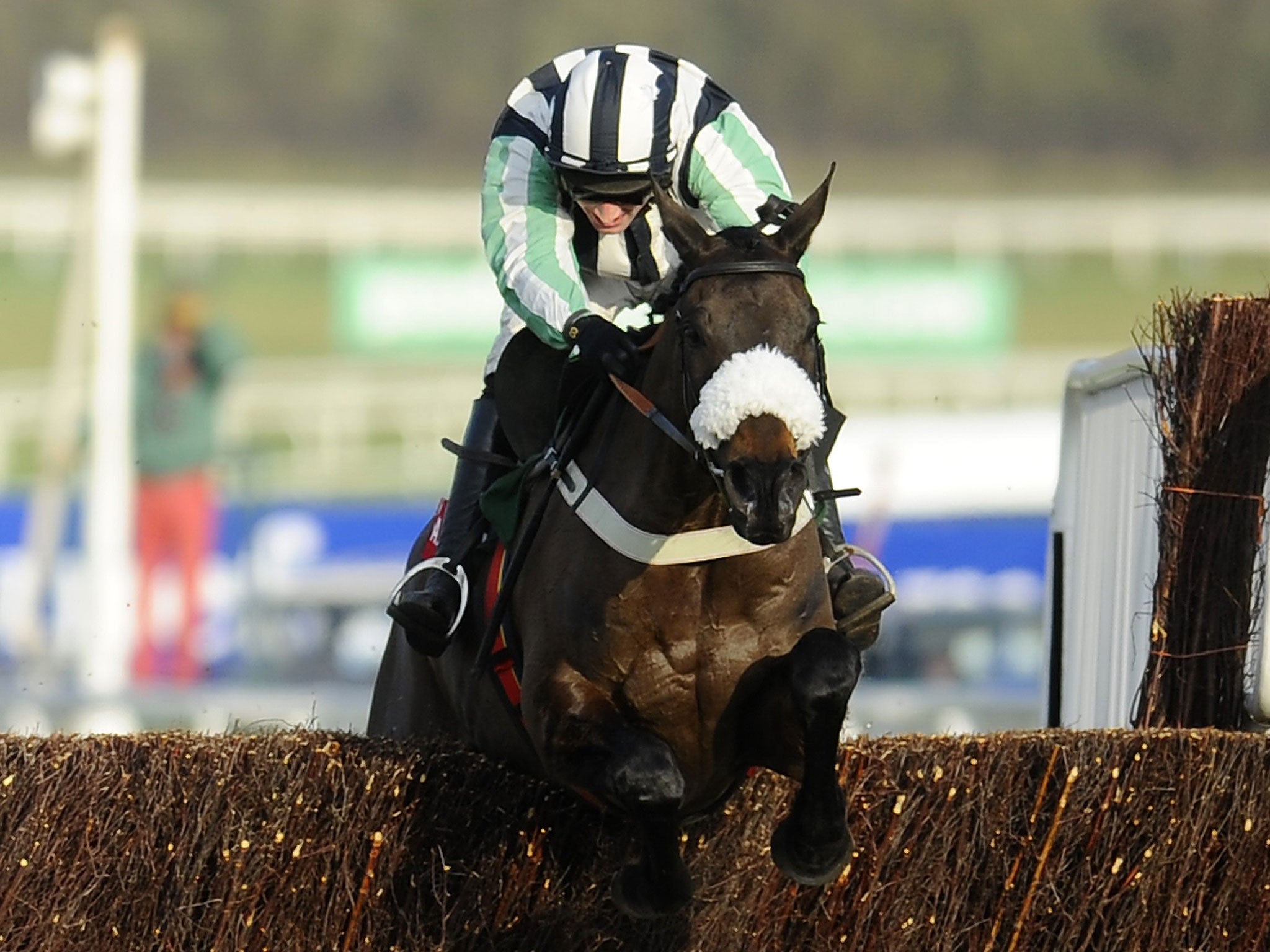 Midnight Chase will have to be at his best to win at Cheltenham