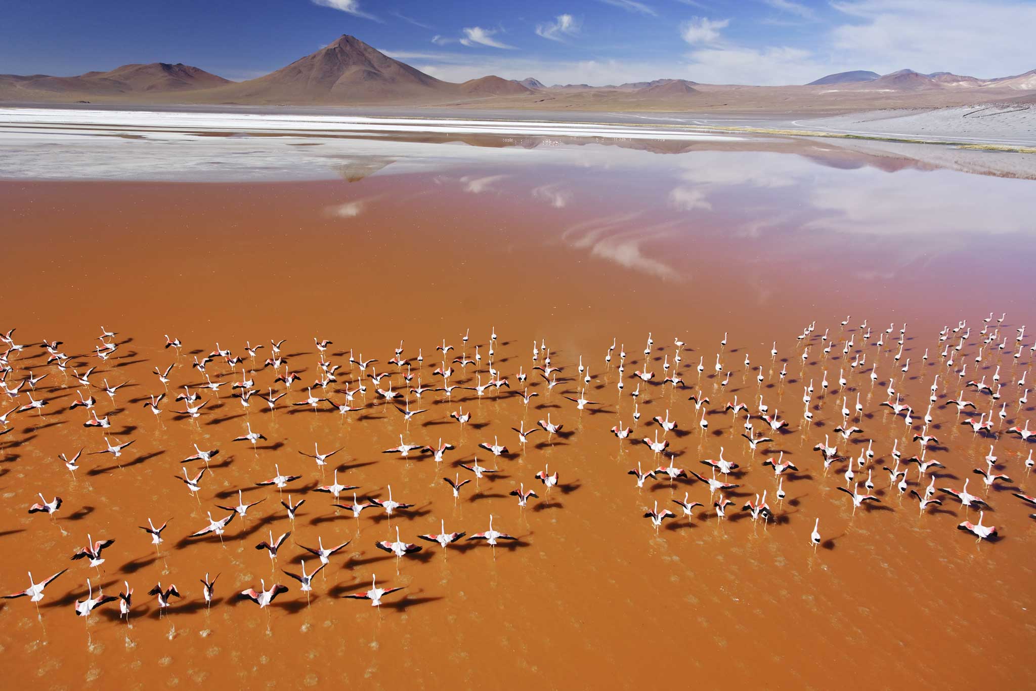 Steinmetz's favourite image was this shot of Lake Laguna Colorada in Bolivia