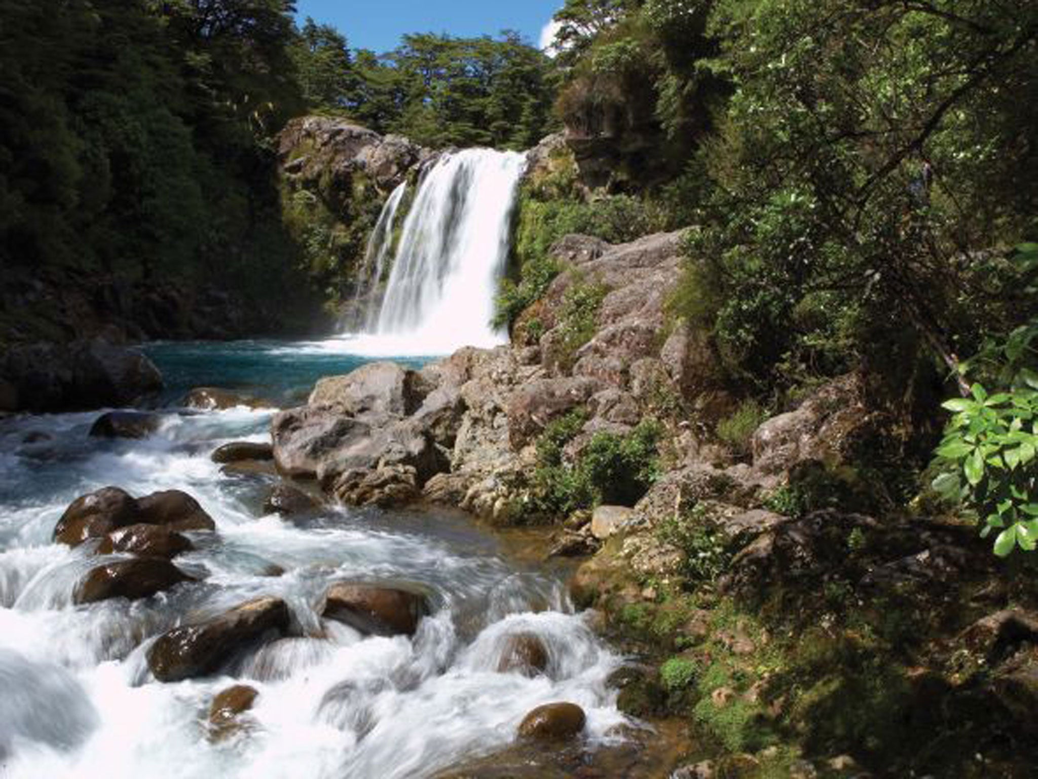 &#13;
Thermals springs at Rotura, New Zealand (Austravel) &#13;