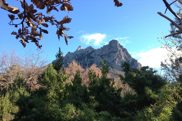 Escape route: Bugarach in the French Pyrenees, a place of safety in the event of extinction?