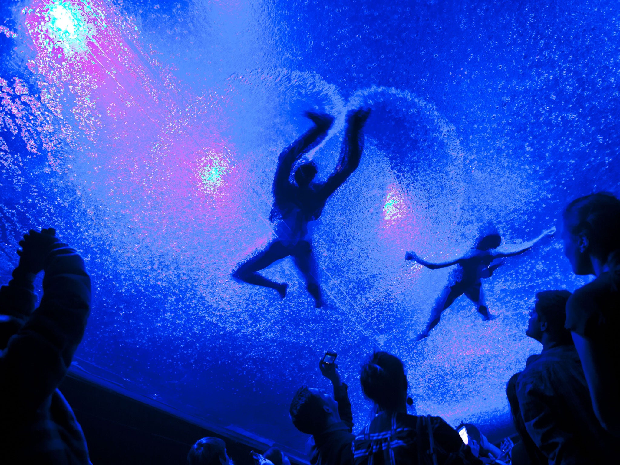 Splash hit: Fuerzabruta's audience in New York looks up at a swimming cast
