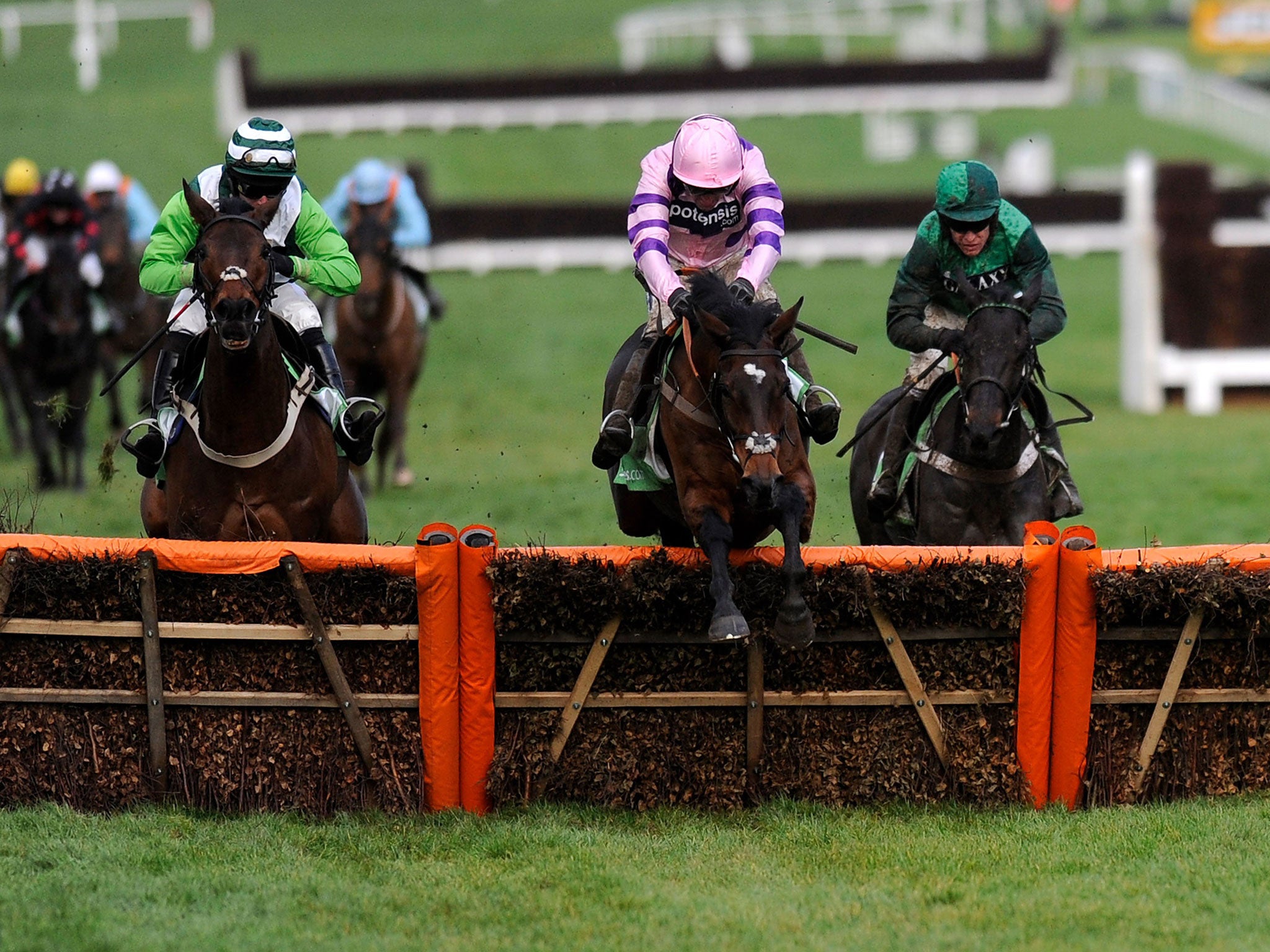 In the pink: Ruby Walsh and Zarkandar clear the last on their way to victory in the International Hurdle
