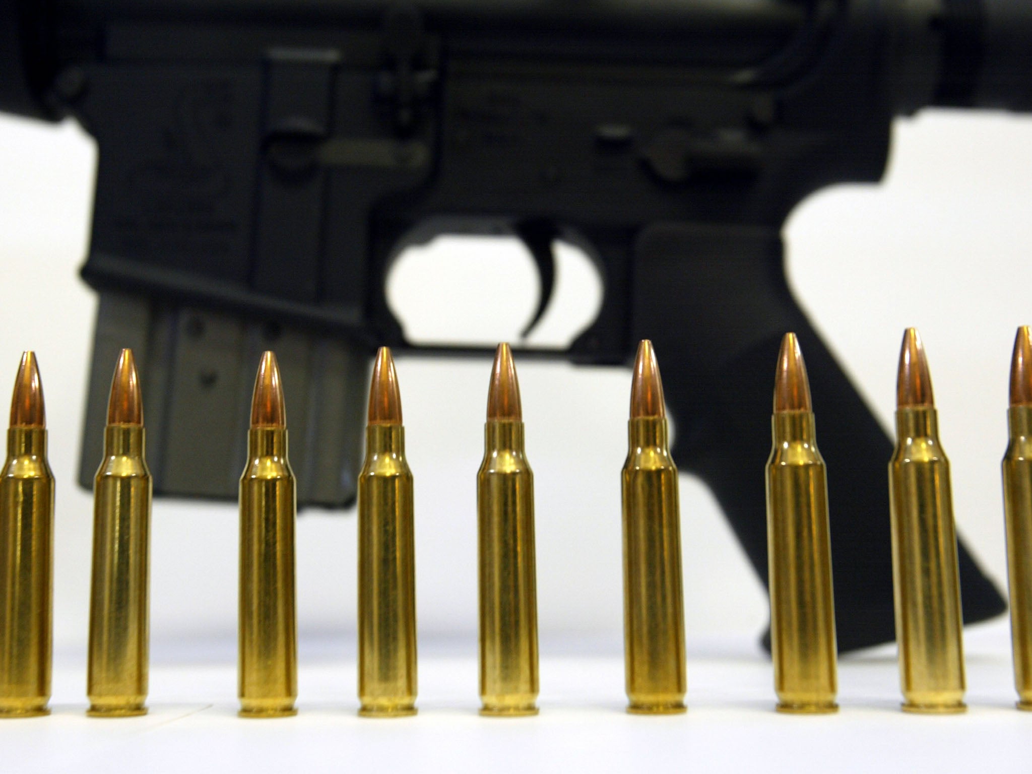 Americans debate their gun laws in the wake of the Newtown massacre