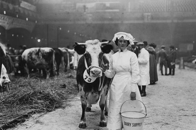 A dairy maid with her cow and a bucket during a Dairy Show in 1913