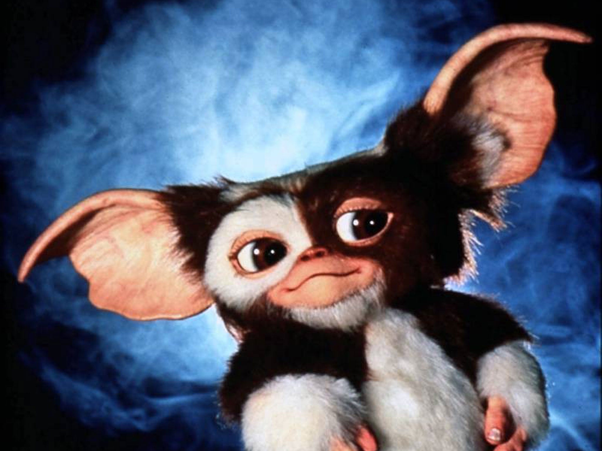 Gremlins is getting an animated prequel series