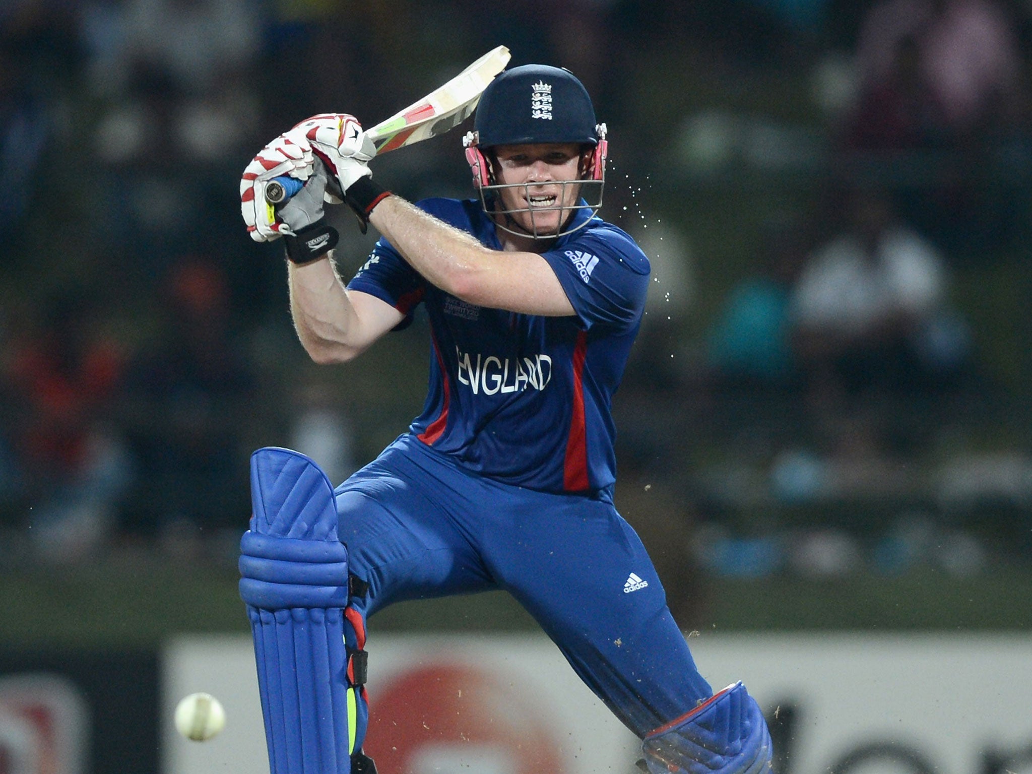 Captain’s knock: Eoin Morgan led his side home with an unbeaten 49
