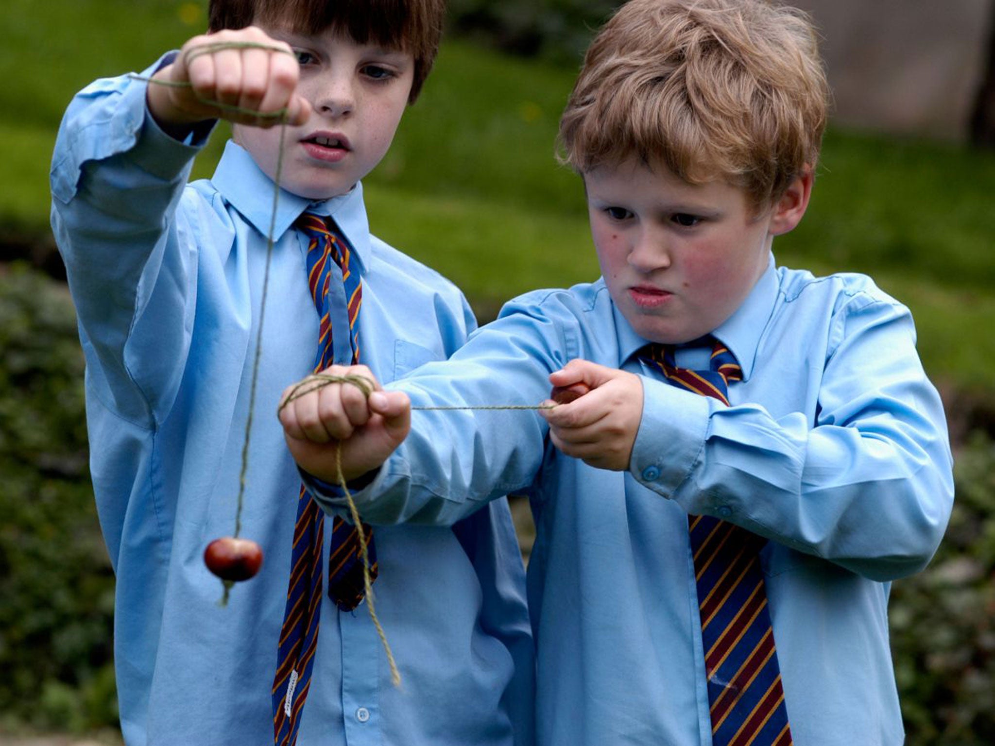 Traditional conker matches between schoolchildren are banned as they represent a safety risk