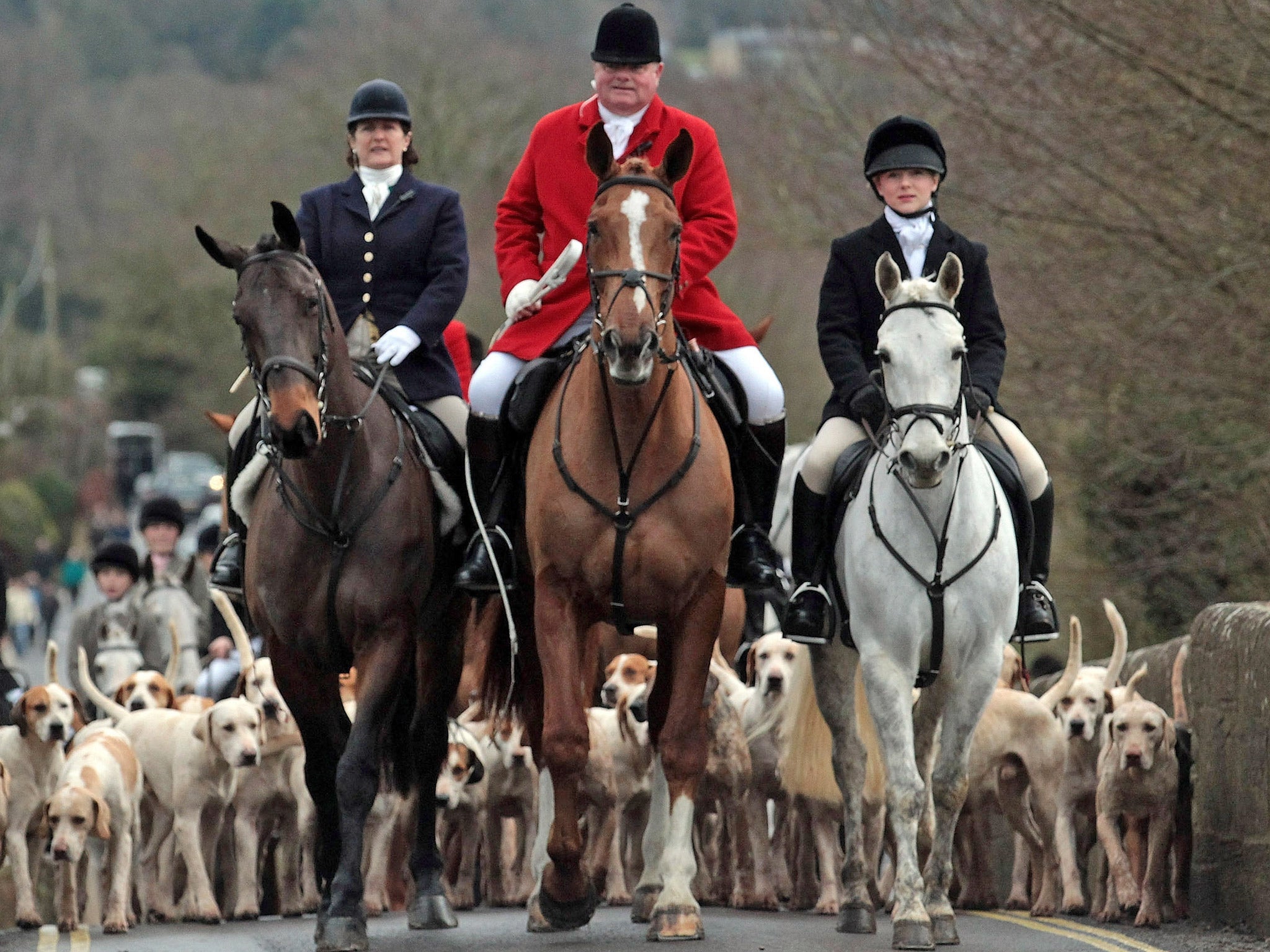 More than 300 hunts will take place on Boxing Day