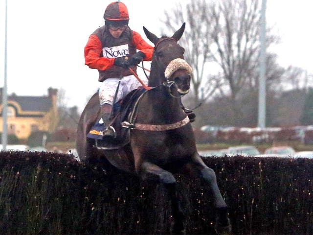 Long Run blundered at the last but recovered to win the King George VI Chase