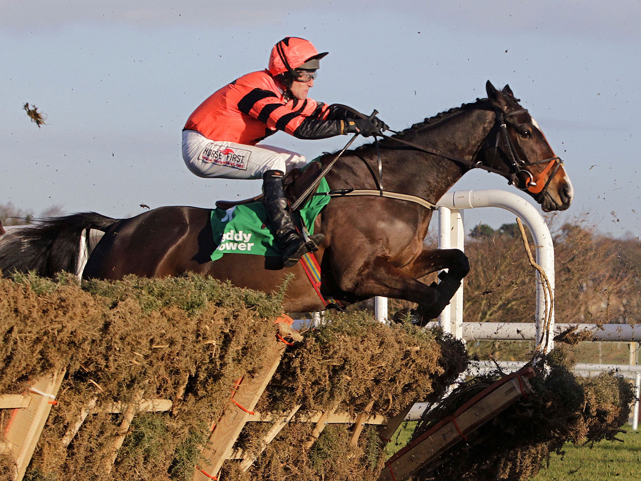 Jezki forges clear over the final flight at Leopardstown yesterday