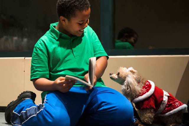 Binyam Gebremeskel, 9, of Alexandria, Virginia, is delighted that Lucy, a toy poodle, seems interested in “Ricky Ricotta's Mighty Robot,” the book he's reading to her at Beatley Central Library. 