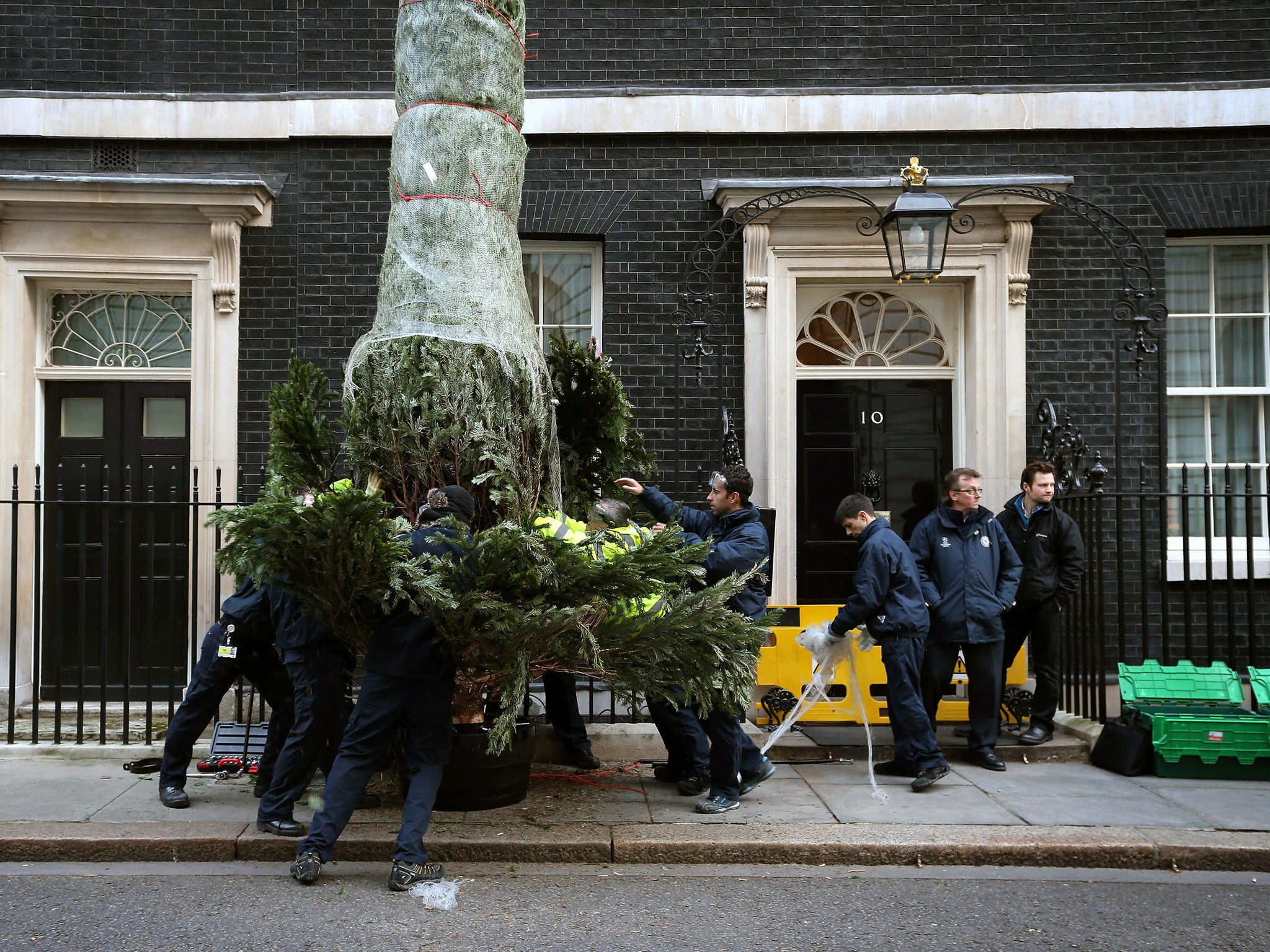 A Christmas Tree is moved into position on Downing Street on November 30, 2012 in London, England.