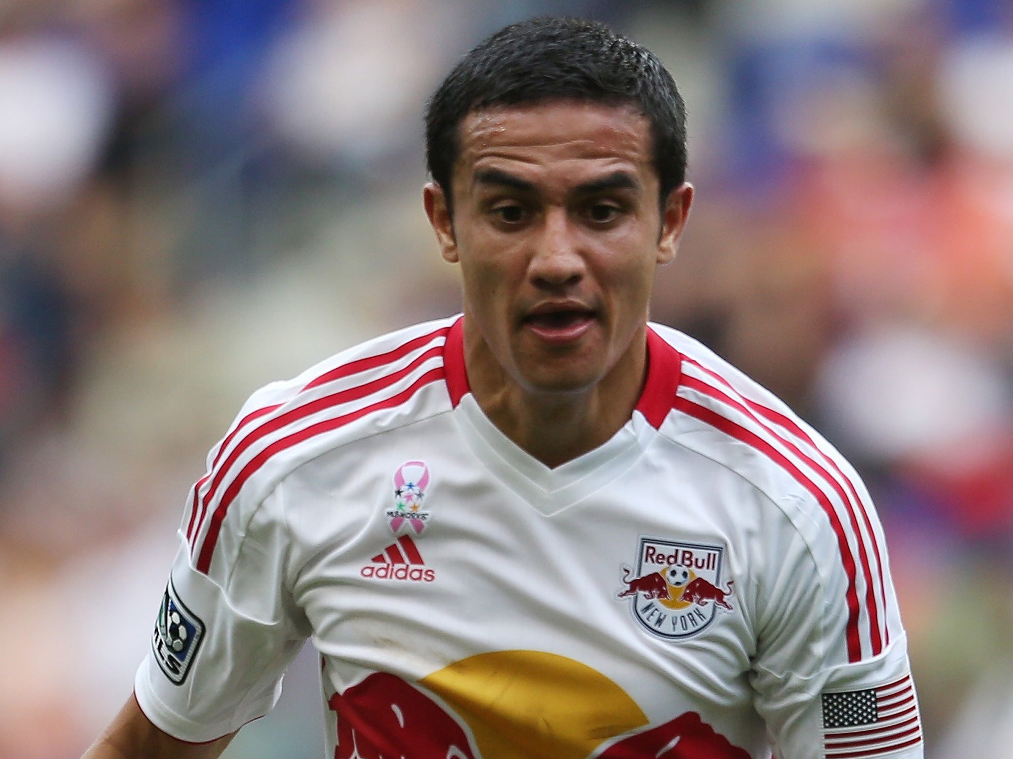 Martin O’Neill plans to loan Tim Cahill to aid Sunderland’s recovery
