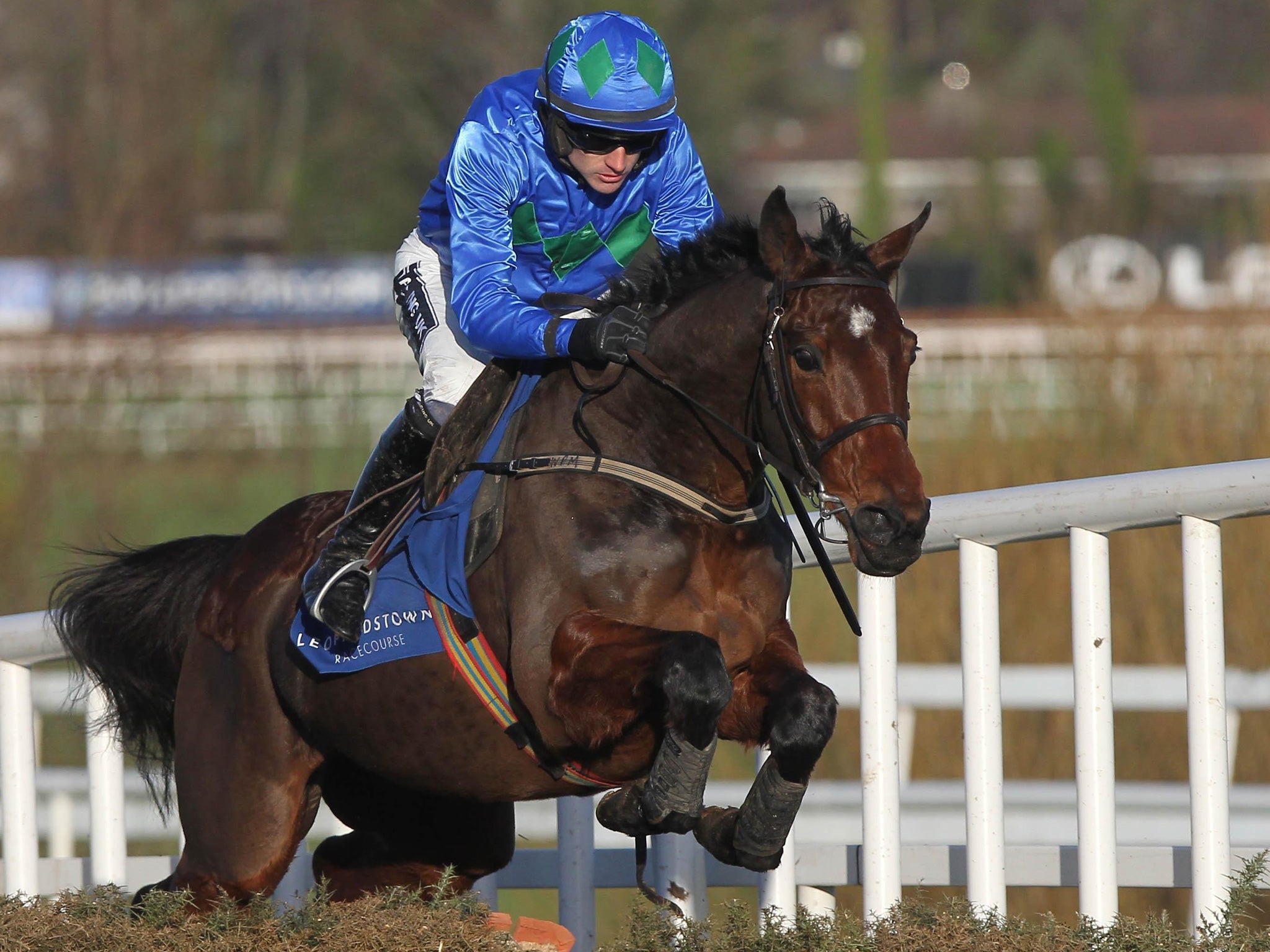 Hurricane Fly gained a bloodless victory in the Istabraq Festival Hurdle at Leopardstown on Saturday