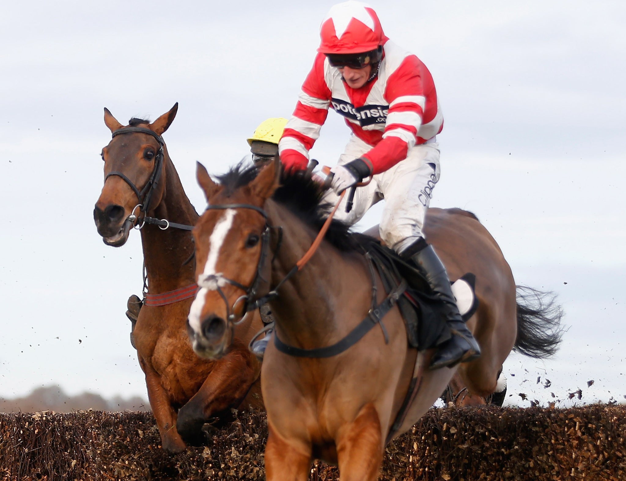 Hawkes Point on his chasing debut at Plumpton last month