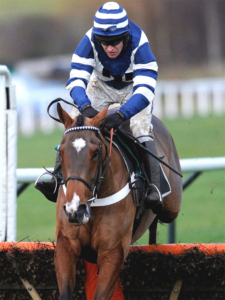 Oscar Whisky will run over three miles at Cheltenham this month