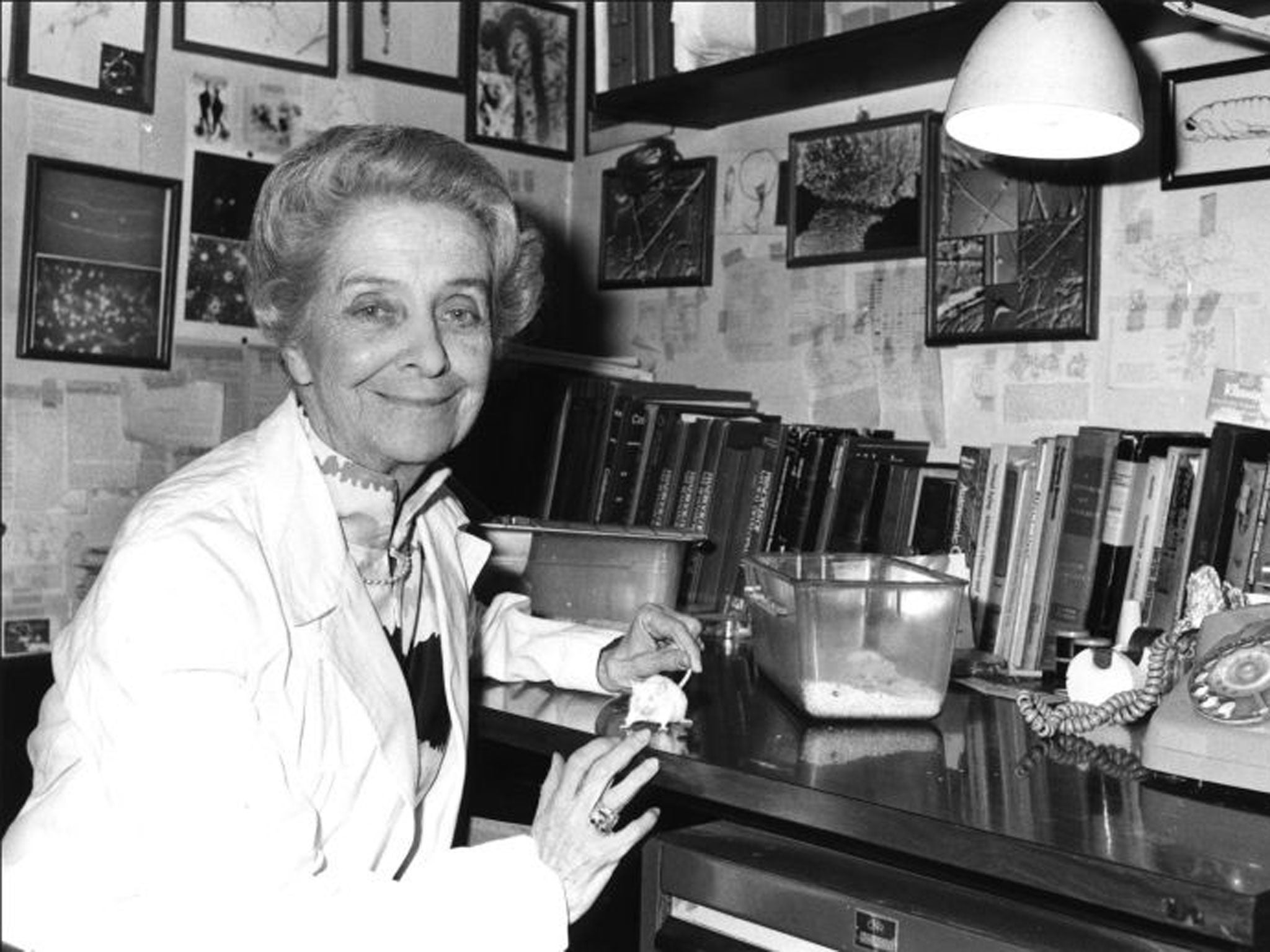Levi-Montalcini: she attributed her success partly to ‘the habit of underestimating obstacles’