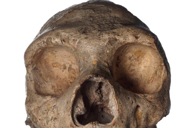 Neanderthals became extinct because they had larger eyes than modern-day man, a new study of their skulls suggests

