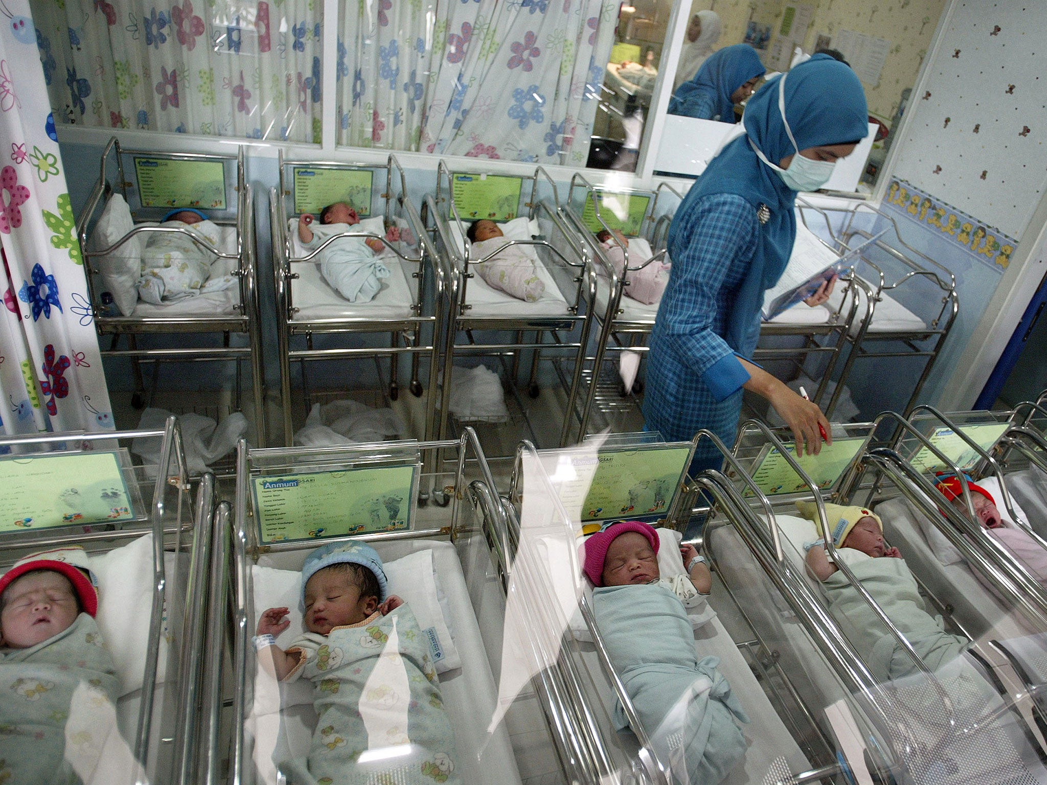 A nurse at the Mother and Child Hospital in Surabaya in East Java province looks after 13 newborn babies born on December 12, 2012.