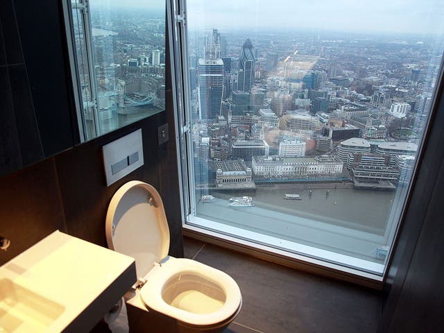 A loo with a view: Another 'attraction' to some may be the high-rise toilets which allow visitors to marvel at landmarks including the Tower of London and HMS Belfast.