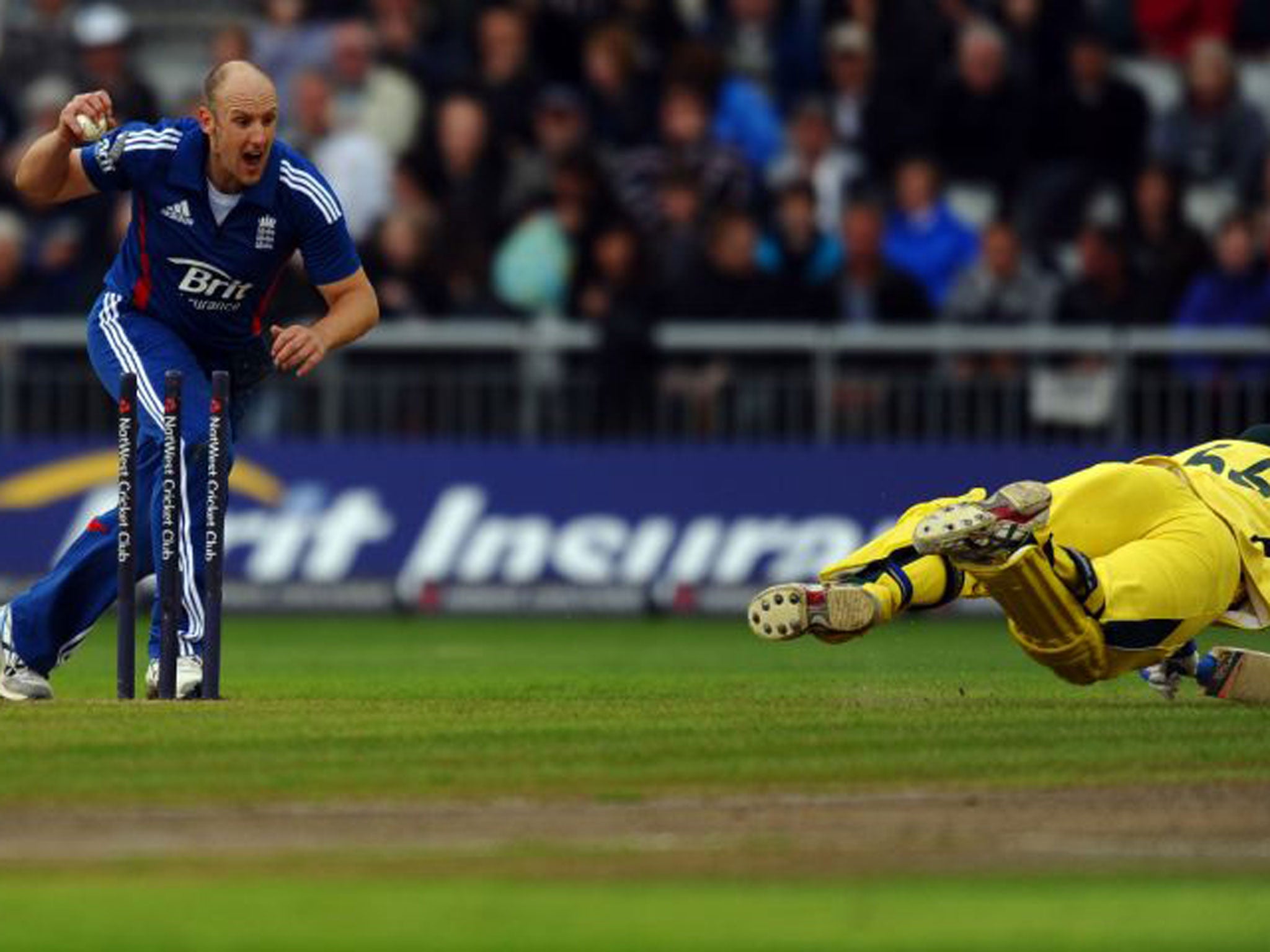 James Tredwell’s 4 for 44 was crucial for England