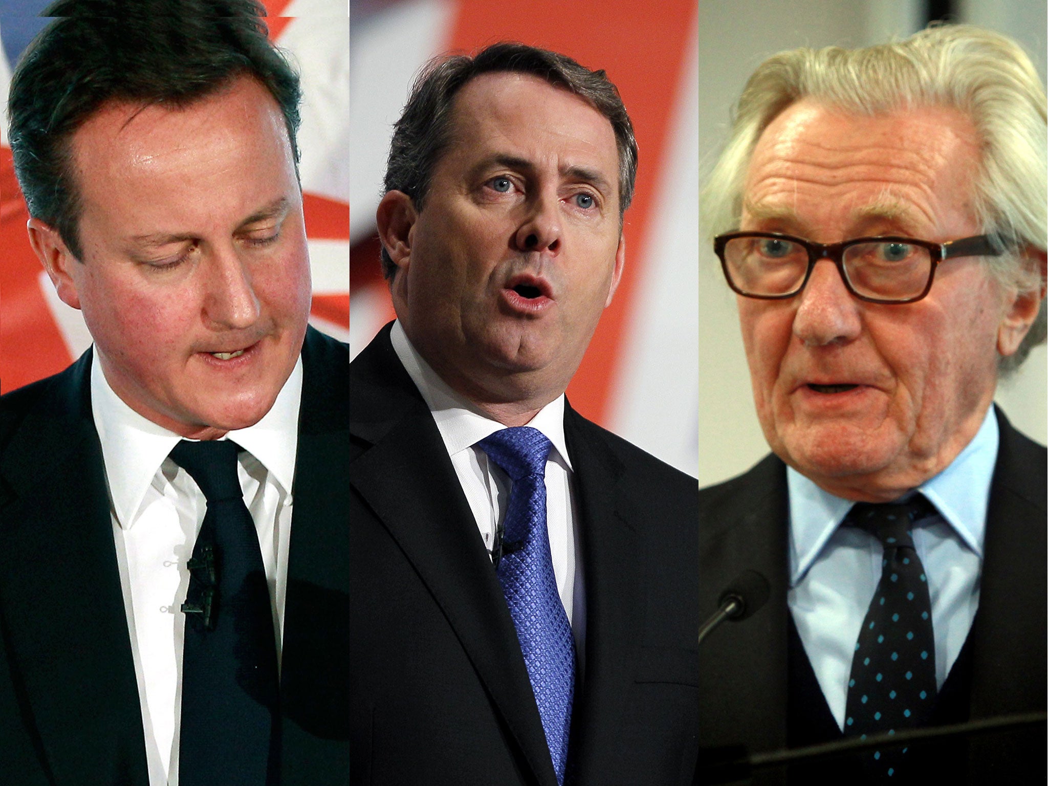 Shades of blue: David Cameron, Liam Fox and Michael Heseltine
