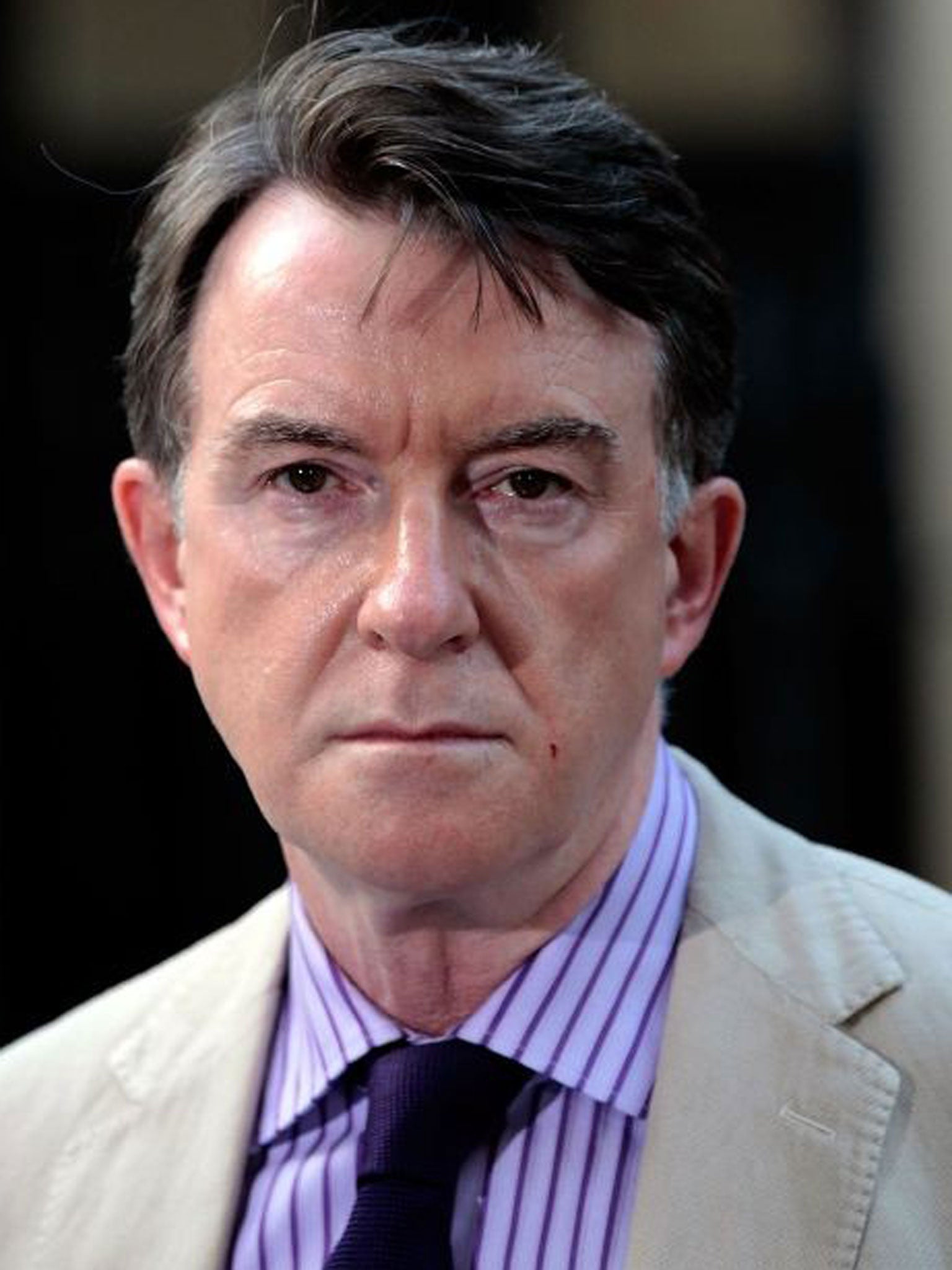 Lord Mandelson: The former Labour minister is part of a group backing EU membership