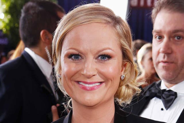 Amy Poehler was a great success as the host of the Golden Globes last night. But who is she?