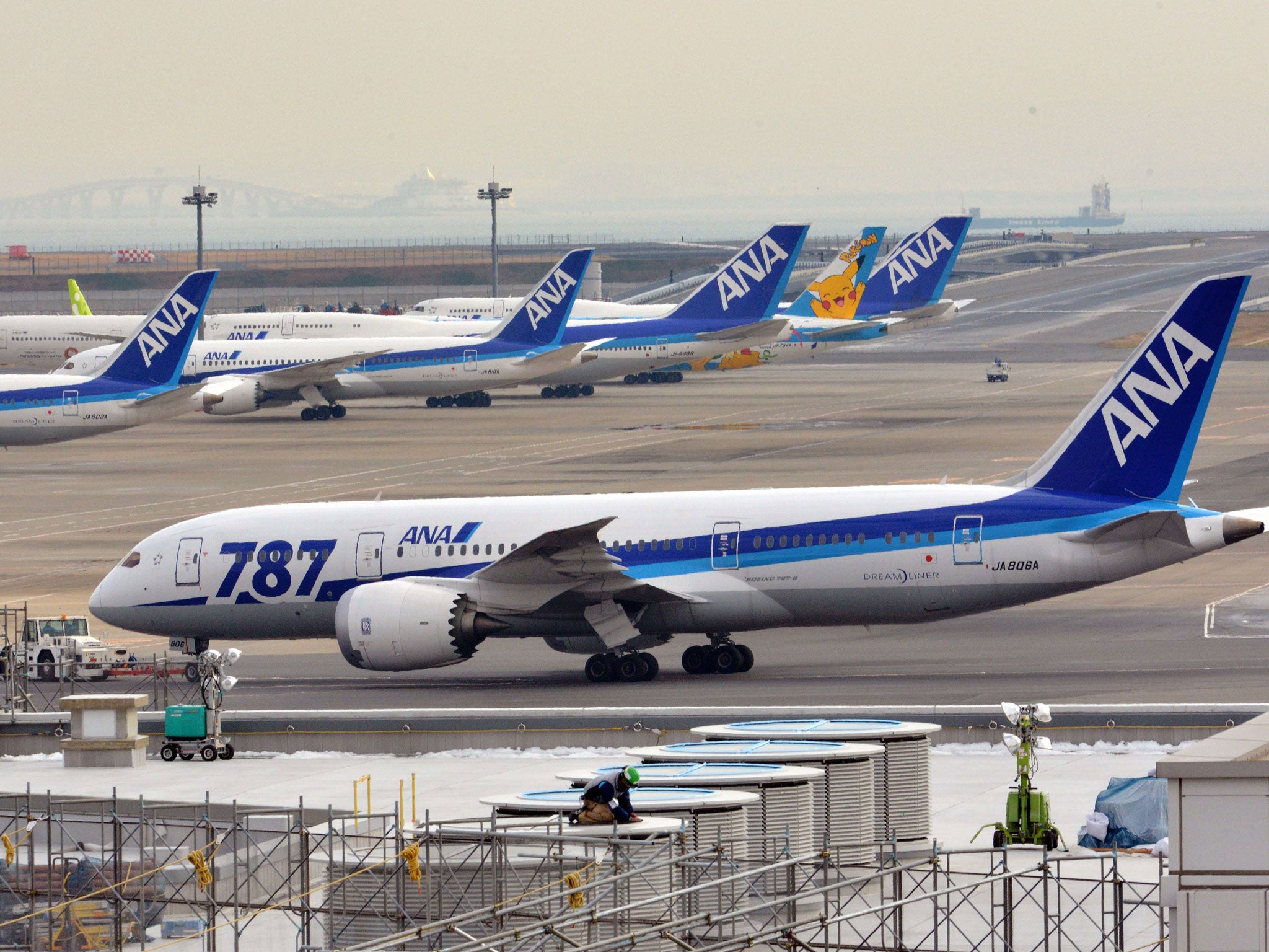 Japan's major airlines grounded their Boeing 787 planes for safety checks today